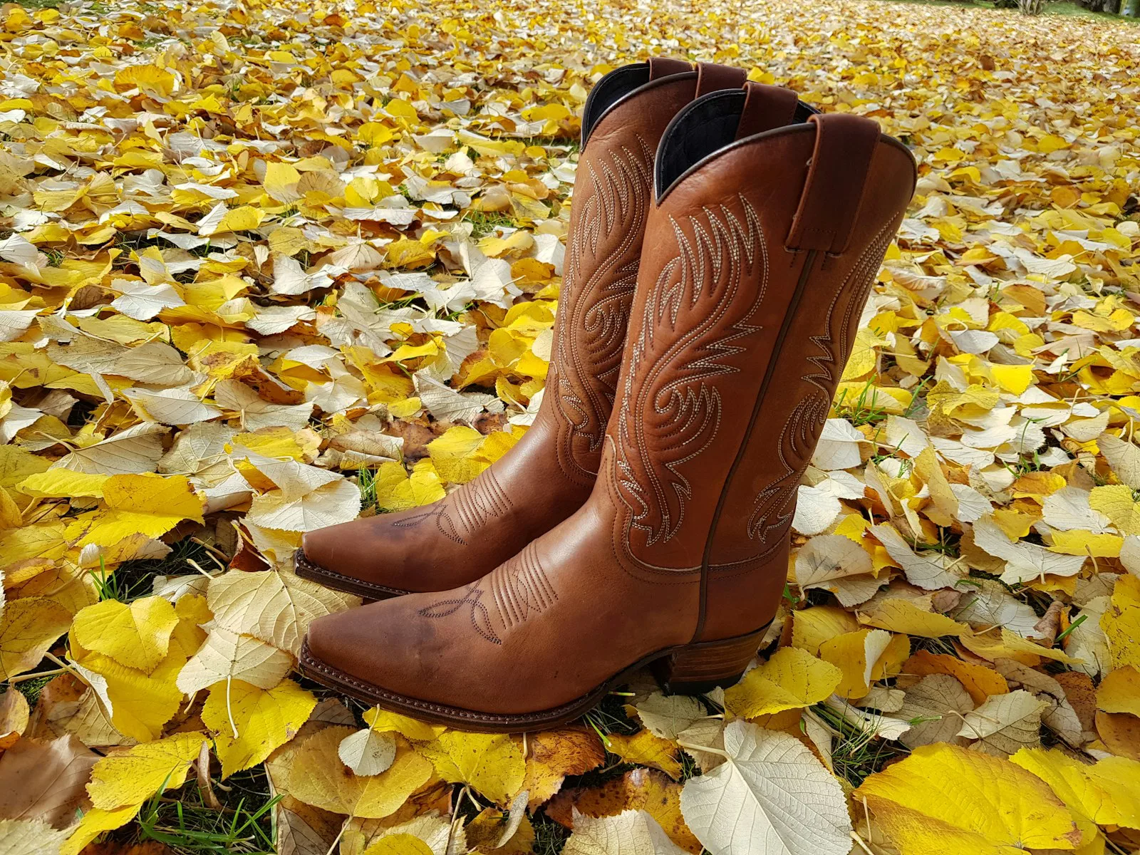 Tooled western boots pair, wide view in golden leaves