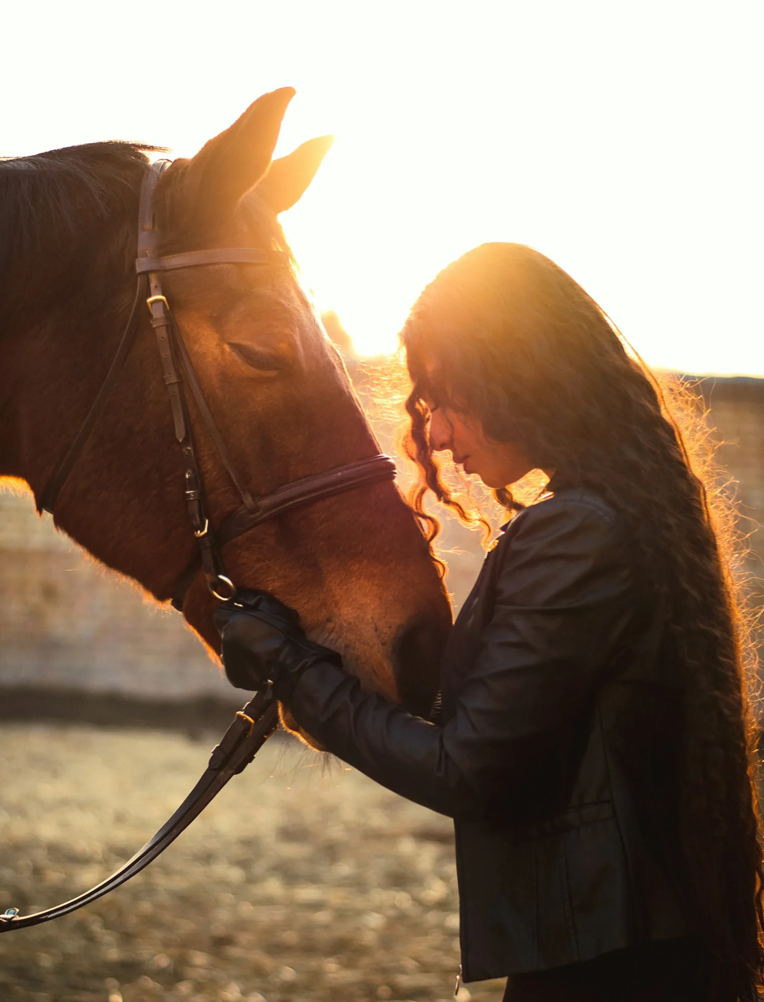 At the ranch at golden hour